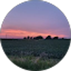 Profile photo of Amy Squires