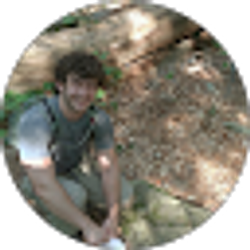 Profile photo of Domenick Palmeri