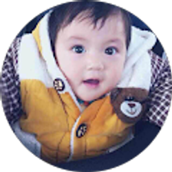 Profile photo of 林宇飞