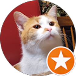 Profile photo of Holly Corson Leamer