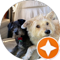 Profile photo of tracy presepe