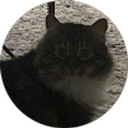 Profile photo of lorena cordero