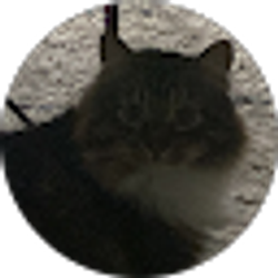 Profile photo of lorena cordero