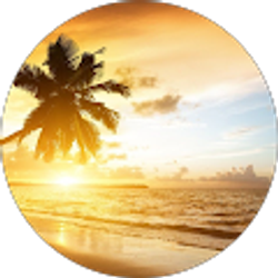 Profile photo of Aditya S