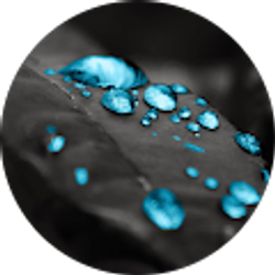 Profile photo of Carla G.