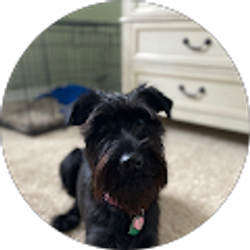 Profile photo of Mary Eccles