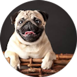 Profile photo of Trisha Evans