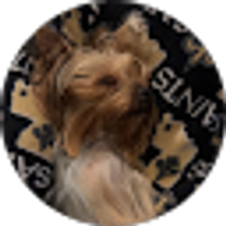 Profile photo of Dreama Hageman