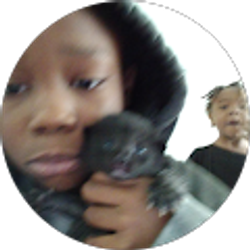 Profile photo of Troy Jarvis