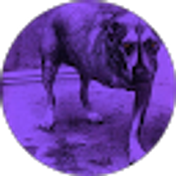 Profile photo of Blake Faust