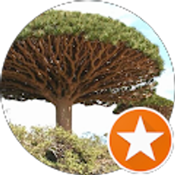 Profile photo of Sadek Alabdi