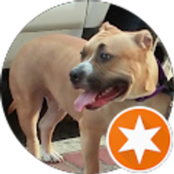 Profile photo of Sean