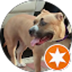 Profile photo of Sean