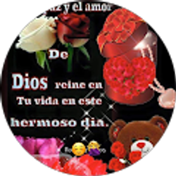 Profile photo of JuanY