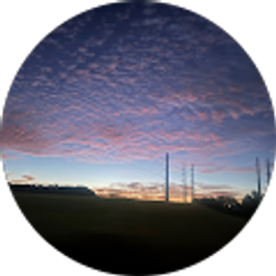 Profile photo of Francisco Carrizales