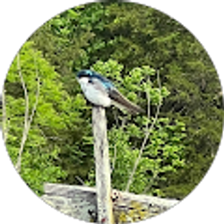 Profile photo of Megan Kinkade