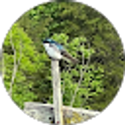 Profile photo of Megan Kinkade