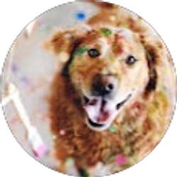 Profile photo of matt