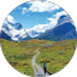 Profile photo of Sri T