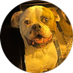 Profile photo of Uncle Fuggly (Uncle Fuggly)