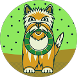 Profile photo of kristie elliott