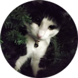 Profile photo of Melissa West