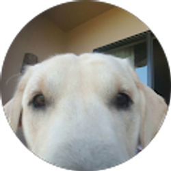 Profile photo of Michele Luna