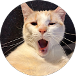 Profile photo of Jessica Harris