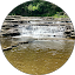 Profile photo of Danielle Cieslak