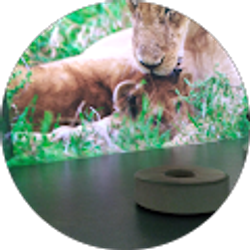 Profile photo of Francisco manuel Golobeo chavez