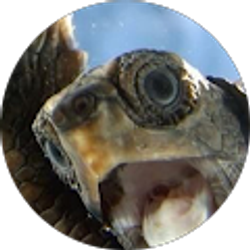 Profile photo of Nay