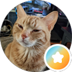 Profile photo of Notcho Fhwend