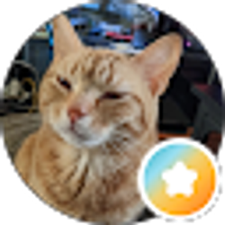Profile photo of Notcho Fhwend