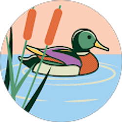Profile photo of Freddy Koth