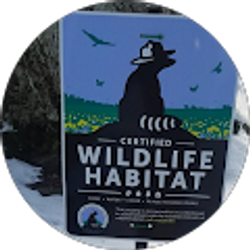 Profile photo of Northeastern native plant digest