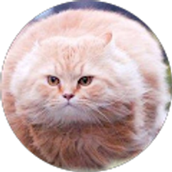 Profile photo of gab