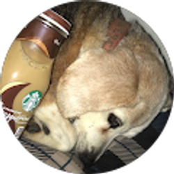 Profile photo of shyanna lynn