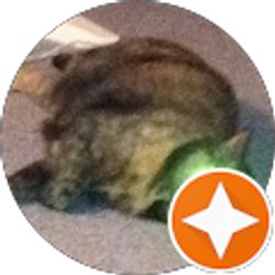 Profile photo of Jacob Green