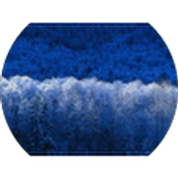 Profile photo of Adrin Mammen