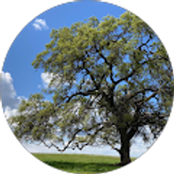 Profile photo of Ann M