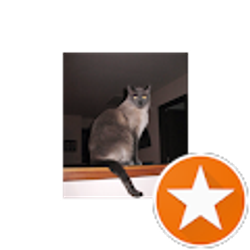 Profile photo of Elizabeth Becker