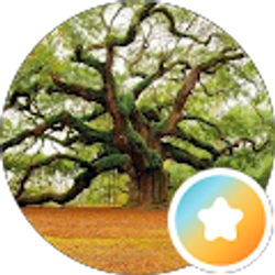 Profile photo of Ms. B