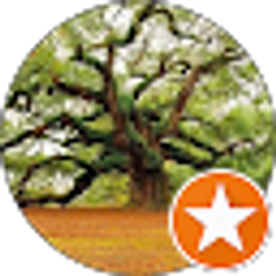 Profile photo of Ms. B