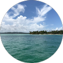 Profile photo of Carolyn Saugh