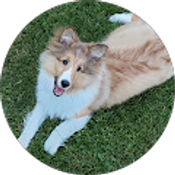 Profile photo of Jessica Claud