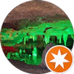 Profile photo of MamaBear of 3