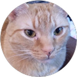 Profile photo of Wesley Austin