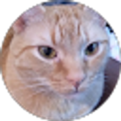 Profile photo of Wesley Austin