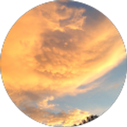 Profile photo of Tim Lin