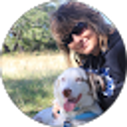 Profile photo of traci Selcer